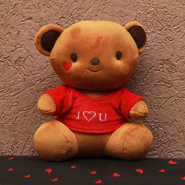Cute 15 Inch Brown Teddy Bear wearing I Love You T-shirt